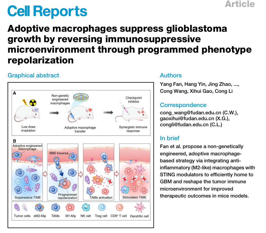 Team of Cong Li, Xihui Gao and Cong Wang Develops Phenotype-Programmed ...